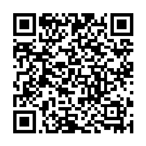 陛下希望听见我朝大军胜利的消息而不是失败的消息二维码生成