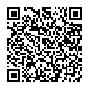 陡见孟猊忽然在手机软键盘上按下了三个令他惊心动魄的数字――110二维码生成