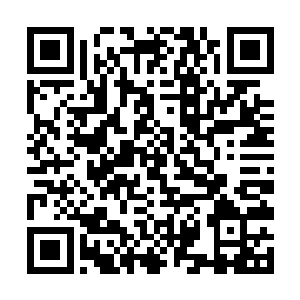 院长胡西元亲自主持召开了针对南院三号病人的会诊二维码生成