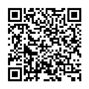 除了偶尔和费楚雄参加酒宴时喝一点香槟或是红酒二维码生成