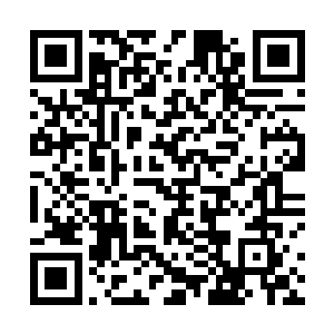 除了击打在张铁身上一声声的响声和特异的摩擦声之外二维码生成