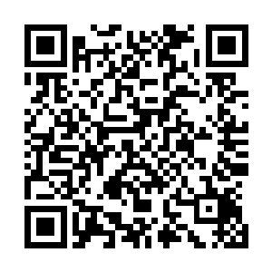 除了技校那种专门针对某种技术和行业进行职业培训的地方二维码生成