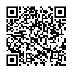 除了沧澜宗之外的八大宗门立刻决定回到宗门之后二维码生成