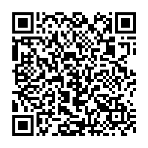 除了添乱基本上也没什么可以帮得上的……与其跑过去成为秦方的拖累二维码生成