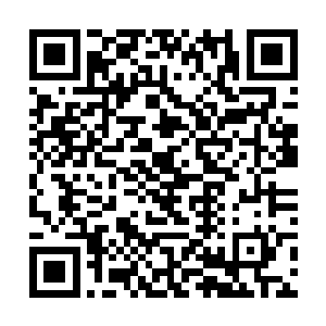 除了神祗真身以圣者形态降临之外几乎没有任何对手二维码生成
