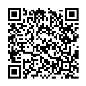 除了赛的队伍和一些走不开的基础寒仙门弟子留守二维码生成