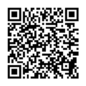 除了身旁似乎在昏睡的血妖姬们再无他人的周围二维码生成