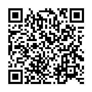 除去影之外的另外两名兄弟就被彼德用如此残暴的方式解决掉二维码生成
