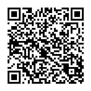 除过一直由一帮公子哥大少组成的名流会风雷不动的屹立在宁海大学二维码生成