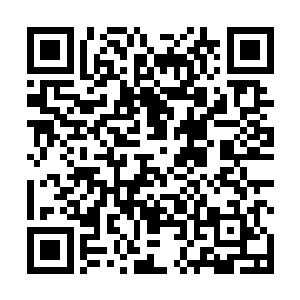 陶弘景和高志海针锋相对的样子顿时引来了众仙的关注二维码生成