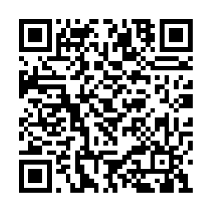 陶正天和另外四名圣皇在也沒有先前那般从容了二维码生成
