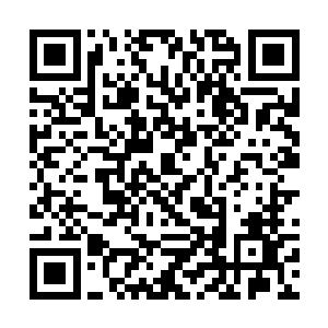 随便一件放出去都可以引起整个诸天百界的腥风血雨二维码生成
