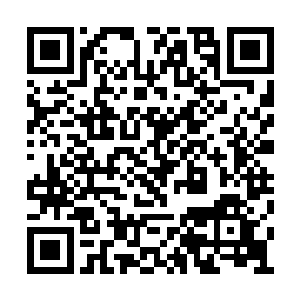 随便扔个石头都可能砸出一个亿万富翁或者议员二维码生成