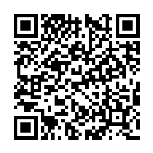 随即在刘石武满怀期待的眼眸下叫醒了自己的儿子二维码生成