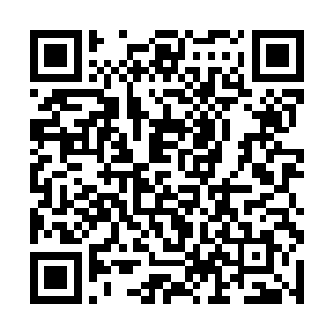 随即安保也是把枪口对准了第一梯队和第二梯队的人二维码生成