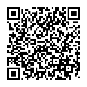 随即扭头赫然发现苏洛不知道什么时候竟然把望远镜再次的拿了出来二维码生成