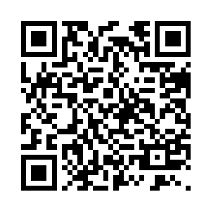 随后……很多爹爹的子嗣又挑战了我二维码生成