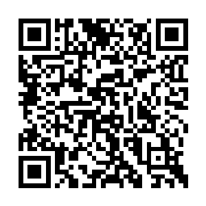 随后他的神魂也感应到了正在飞奔过来的那些人二维码生成