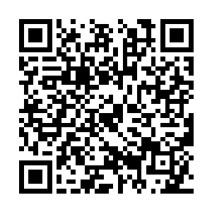 随后只见老者直接开始一件件的查看起地上的装备二维码生成