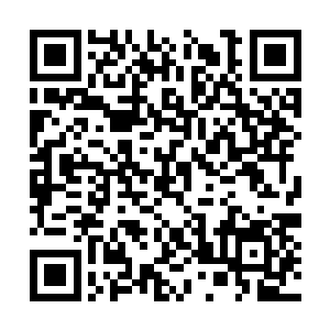 随后右手之中的战刀直接斩在了野猪最脆弱的地方二维码生成
