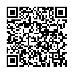 随后在和竟儿做了几个手势后便让叶秋几人先撤了二维码生成