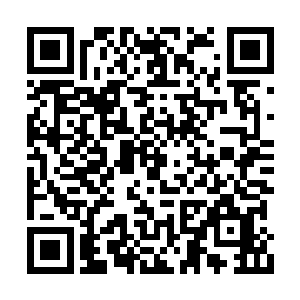 随后漫天的狂暴的枪芒也从杨戬的手中飞射而出二维码生成