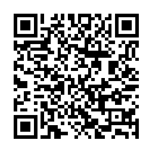 随意从墙上取下了一件蓝绿相间的深色外套给自己套上二维码生成