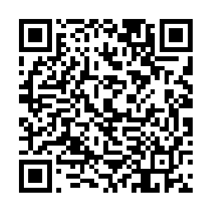 随手在沙滩上捡了块小指粗的沙石在蚌壳上刮了两下二维码生成