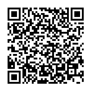 随着一件件稀奇古怪的物品以及一些难得的珍宝被一件件的拍卖出去二维码生成