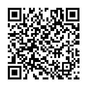 随着神武帝一起回京的还有一对二八年华的姐妹花二维码生成