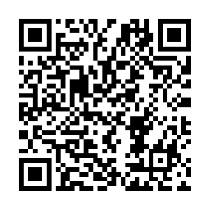 随着越來越多的圣之力以及本源之力被转化为神性力量二维码生成