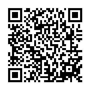 随行给领导服务的市公安局办公室主任曲应林坐在副驾驶座上二维码生成