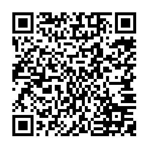 隐约间可以看见几名人类的身影和几只身躯庞大的魔兽正徘徊在战争巨兽的附近二维码生成