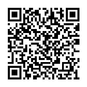 隐隐从杨庆的眼神中读出了一丝饱含深意的异常二维码生成