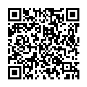 隔三差五会让人去新平城那边采购新鲜的水果过来二维码生成