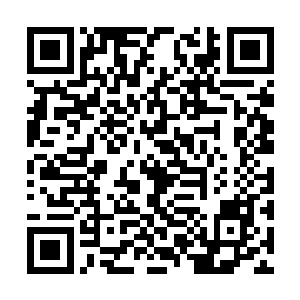 难免有些怜惜这些还不知道残酷现实的天真少女们二维码生成