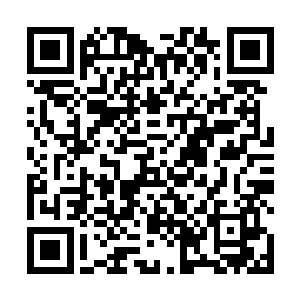 难得偷得浮生半日闲的清尘公子听到门口的侍卫的禀告二维码生成