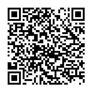 难怪族长来符神界那么短的时间就从符神师修炼到了符神王境界了二维码生成