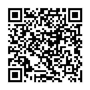 难怪无数的修真者终其一生也无法抵达海域的这一边二维码生成