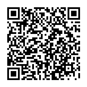 难怪朝廷中与这位异姓王政见不合的大人们私下都会文绉绉骂一声徐蛮子二维码生成