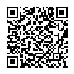 难怪那兔子说我们可以在一个月内进入地位境了二维码生成