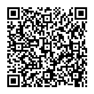 难怪龙息里的那些小怪物在龙王这只大怪物面前都乖顺的跟个刚刚进门的小媳妇似的二维码生成