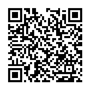 难道万一输了之后的后果他们真的一点都不知道吗二维码生成