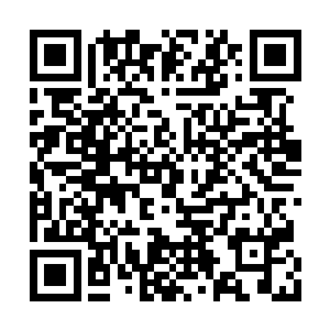 难道他们会派出高手和一元宗一起来攻击我们吗二维码生成