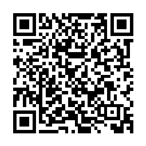 难道他真的要眼睁睁的看着无名英雄这样痛苦的死去而无能为力二维码生成