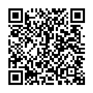 难道你们妖族是想将我们在这里的人族和魔族俱都杀光不成二维码生成