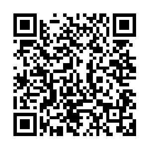 难道你们没发现这是从波罗涅申科的家去他的公司总部的路线吗二维码生成
