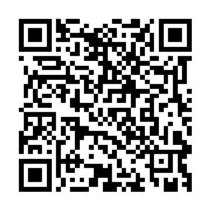 难道你们许家的人可以随随便便地在议事殿上对客人大呼小叫二维码生成