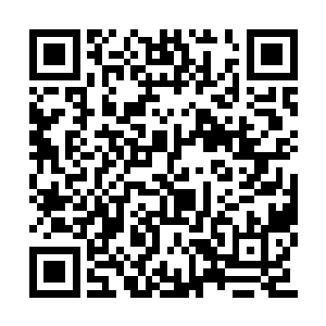 难道凌蘭不是他前面猜测的原因提升自己的能力二维码生成