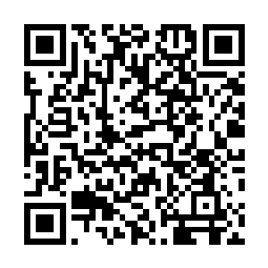 难道是因为他这只小蝴蝶的翅膀又闪动了亚马逊的飓风吗二维码生成